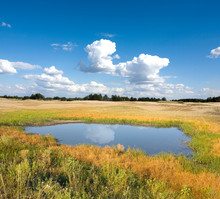 Small Lake In Steppe