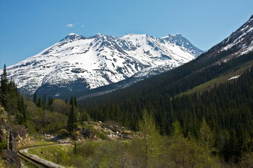 Wall Mural - White Pass & Yukon Route Railroad