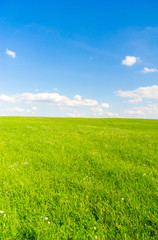 Poster - Outdoor Grass Landscape