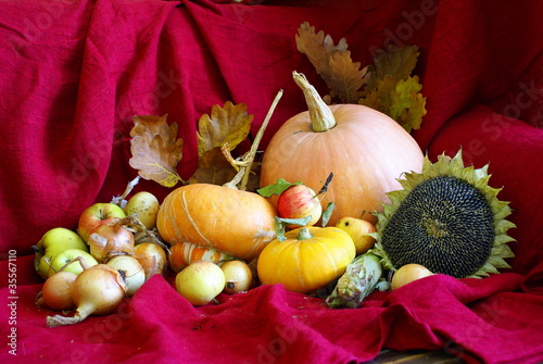 Naklejka dekoracyjna jesienna martwa natura