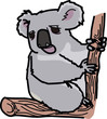 コアラ　Koala