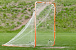 lacrosse ball in net for a goal