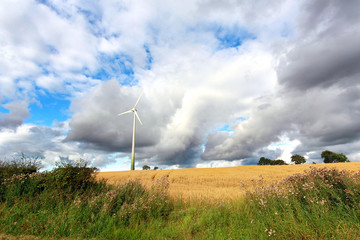 Poster - Scenic rural landscape with a windmill