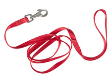Red Nylon Dog Lead Or Leash Isolated Over White