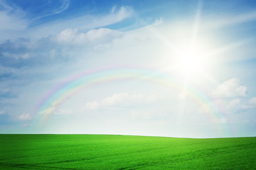 Wall Mural - Summer landscape with rainbow
