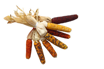 Wall Mural - Indian Corn Bundle