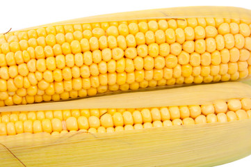 Sticker - ear of corn