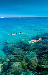 Sticker - Snorkeling in a Coral Sea