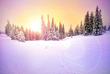 Wall Mural - Winter landscape