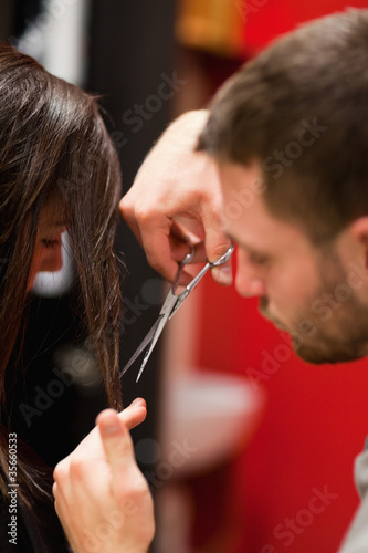 Portrait of a male hairdresser cutting hair