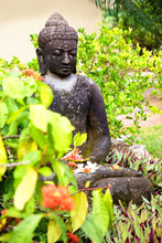 Statue Of Buddha In A Garden