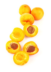 Wall Mural - Apricots on white