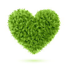 Heart Symbol In Green Leaves