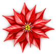 vector poinsettia, christmas star flower