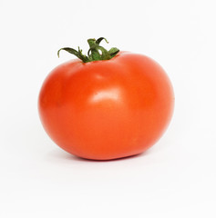 Canvas Print - one tomato