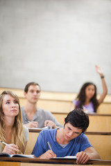 Poster - Portrait of students taking notes while their classmate is raisi