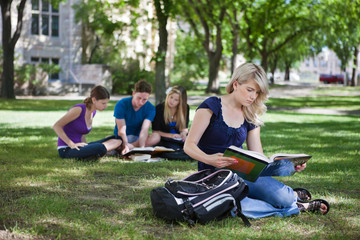 Sticker - College students studying