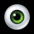Human green eye ball organ