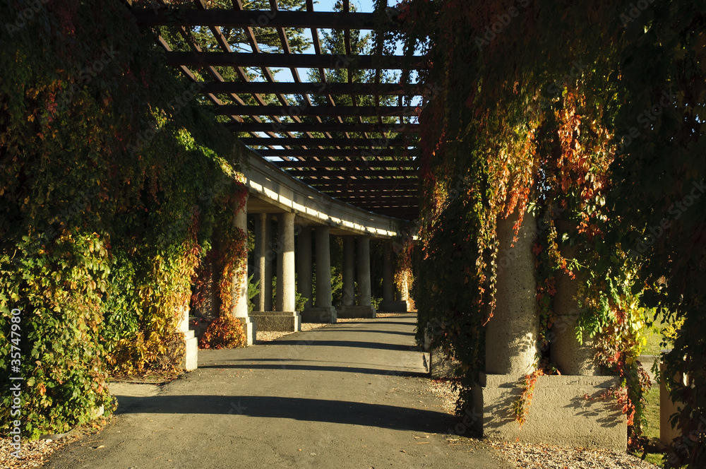 wroclawska-pergola