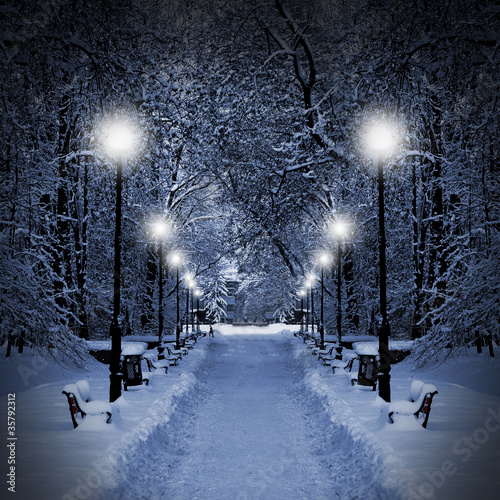 Naklejka na meble Park at Christmas