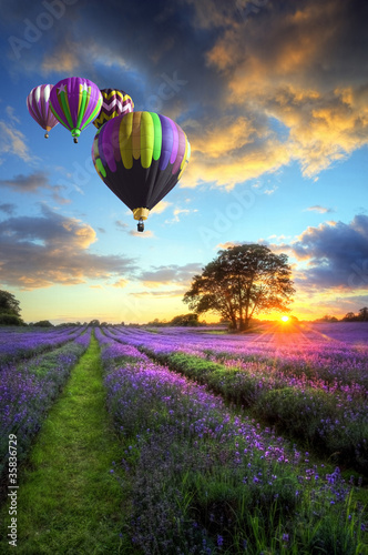 balony-na-ogrzane-powietrze-latajace-nad-lawenda