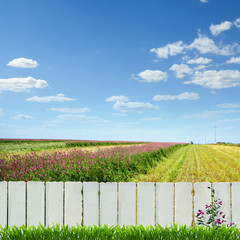 Poster - white fence