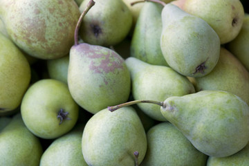 Wall Mural - background with lots of green pears