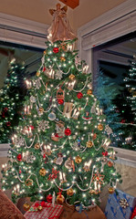 vertical tall decorated christmas tree indoors