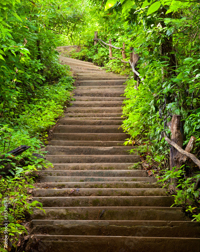 Fototapeta na wymiar Stairway to forest