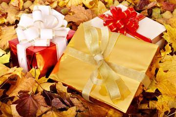 Wall Mural - autumn still life with group gift box.