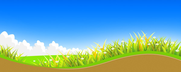 the grass with a blue sky