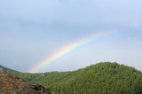 Fototapeta Tęcza - Rainbow over a taiga, 