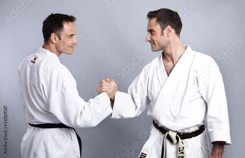 Dekoracja na wymiar  karate-vs-taekwondo-porownanie-4