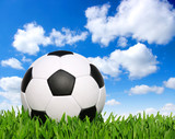 Fototapeta Sport - soccer ball