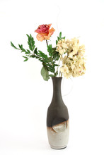 Dried Green Hortensia And Rose In Vase