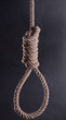 Hi-res hangman's noose