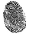 perfect thumb fingerprint