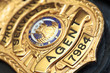 © Satori - Law enforcement badge