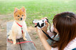 © taka - attractive asian woman with dog in the park