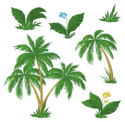 Wall Mural - Palm trees, flowers and grass