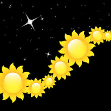 Glossy Sunflowers Falling In Night