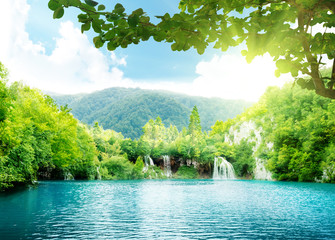Canvas Print - lake in deep forest