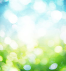 Wall Mural - nature blur background.