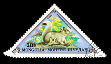 MONGOLIA- CIRCA 1973