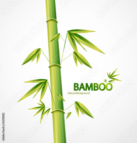 bambusowego-trzonu-natury-abstrakcjonistyczny-tlo