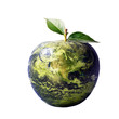 The whole world on an apple