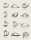 Fototapeta Koty - Funny cats sketch, design with place for your text