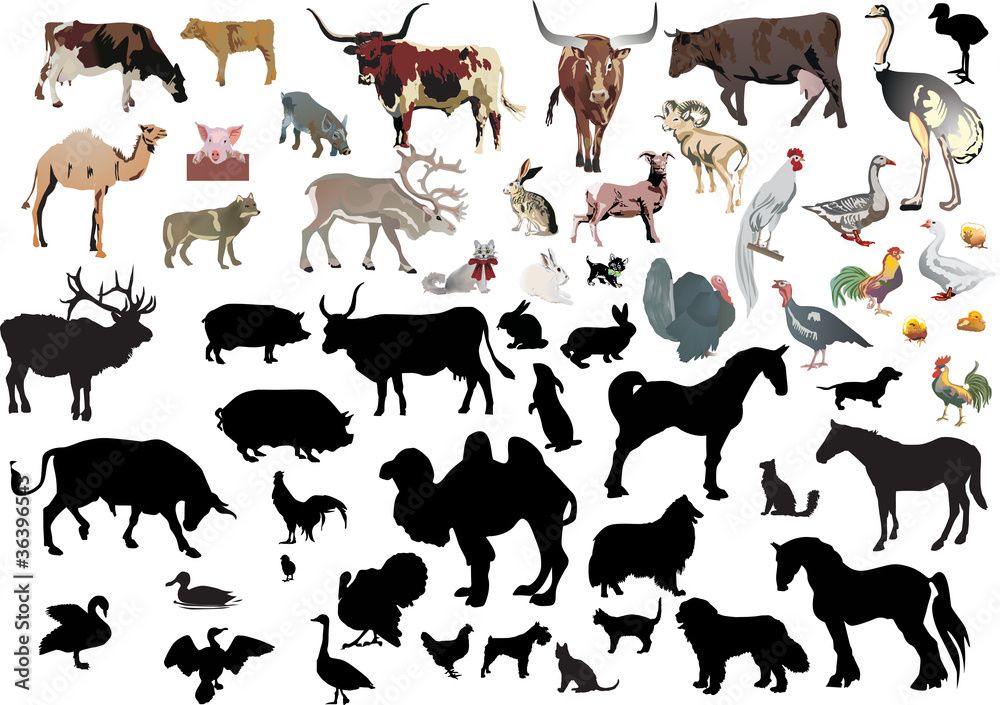 large set of farm animals Stock Vector | Adobe Stock