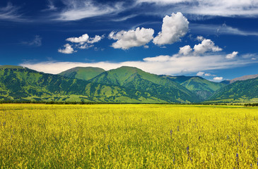 Wall Mural - Mountain landscape