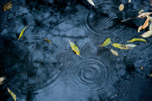 Drops Of Rain Water On A Fresh Asphalt